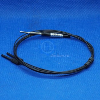 Cảm Biến RIKO FRS-301-I